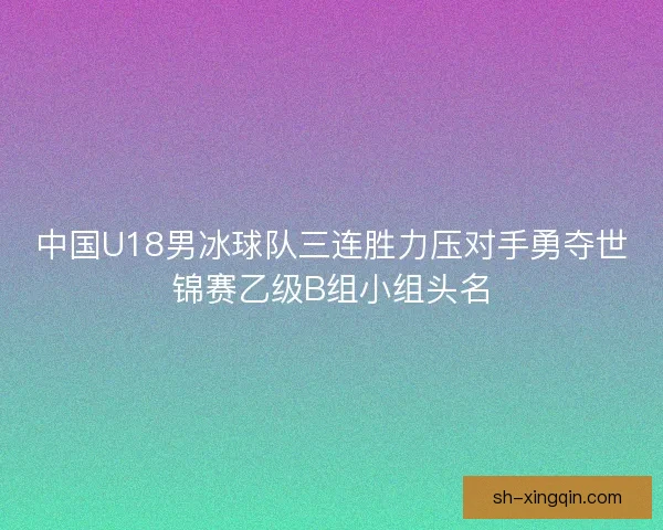 中国U18男冰球队三连胜力压对手勇夺世锦赛乙级B组小组头名